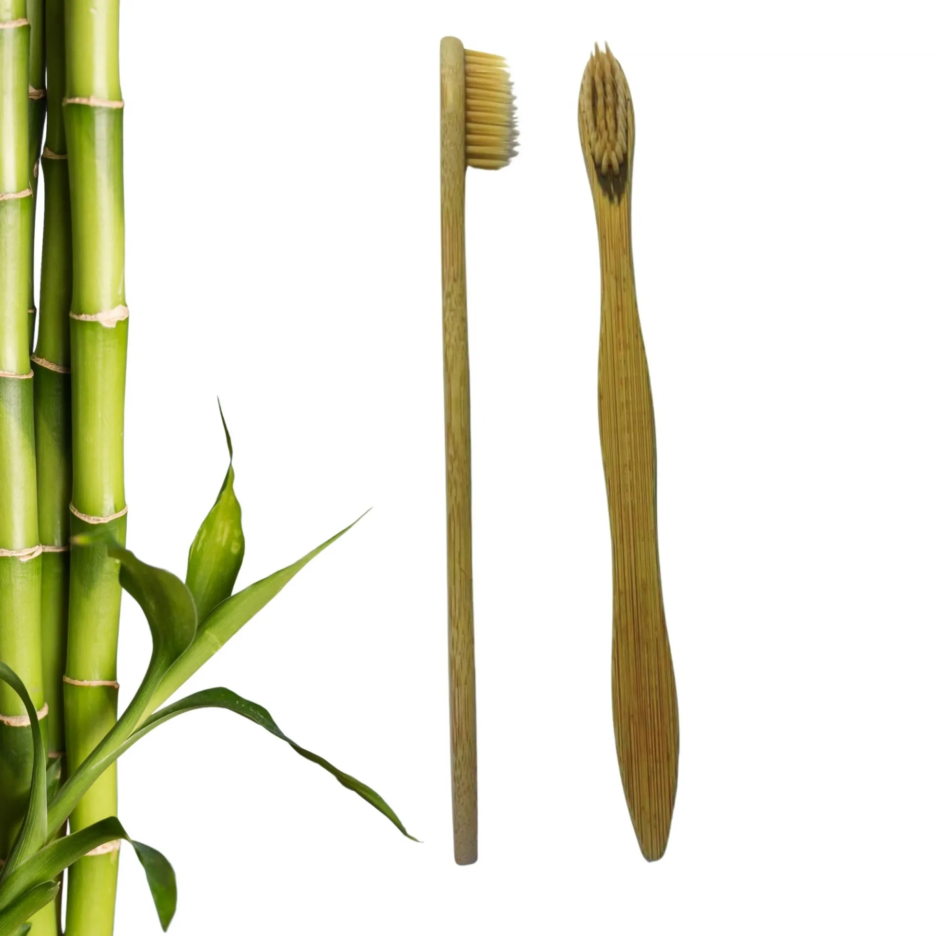 Bambu_Diş_Fırçası